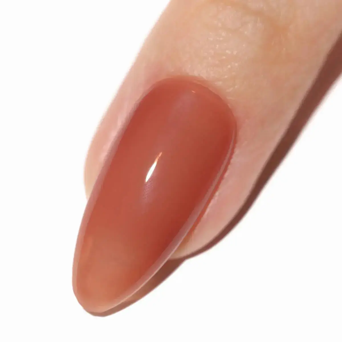Chai Maintenance Gel - Image 6
