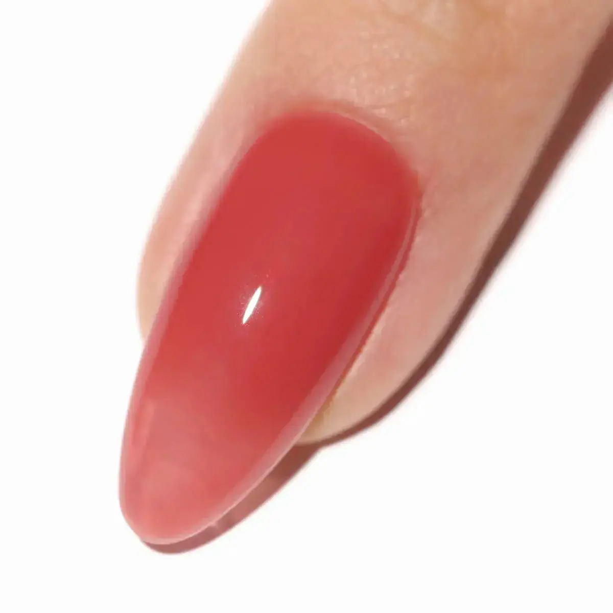 Hibiscus Harmony Gel - Image 6